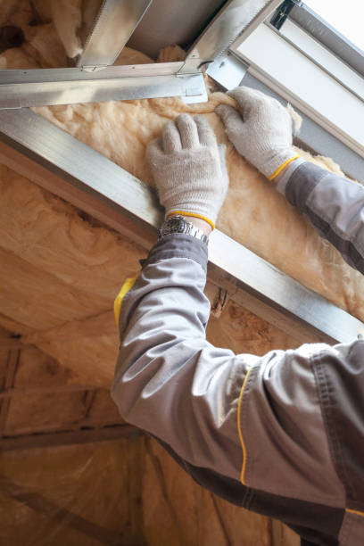 Types of Insulation We Offer in Lasalle, IL